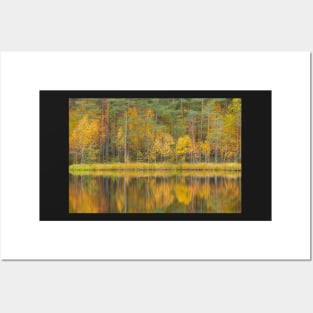Serene autumn landscape at forest lake Posters and Art